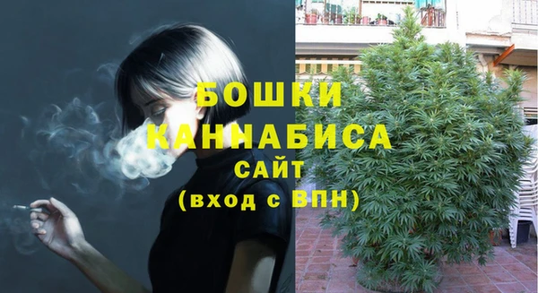 тгк Володарск