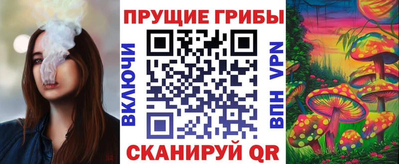 Галлюциногенные грибы Cubensis  Железногорск-Илимский 